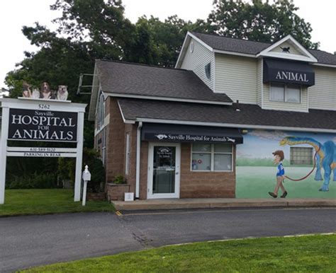 Sayville animal hospital - Fri: 9:00 am - 4:00 pm. Sat: 9:00 am - 1:00 pm. Sun: Closed. Robert Frosch cares for pets in Sayville, NY at Sayville Animal Hospital. Learn more about Robert Frosch and the team at VCA Animal Hospitals.